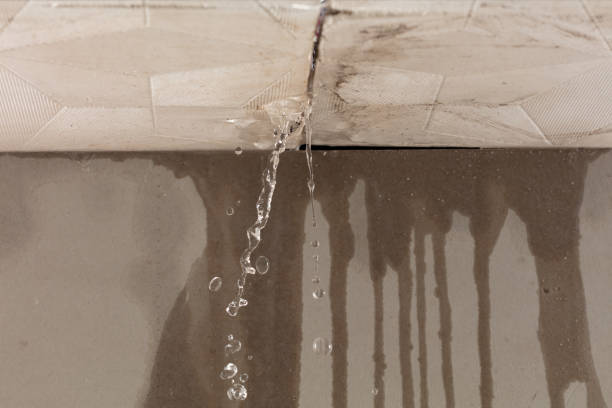 Professional Sewage Cleanup technician working in Algodones, NM